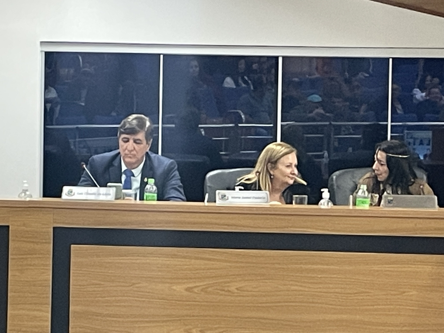Voto contrário de vereadores ao projeto da Fazenda Onça gera críticas e revolta entre moradores em Avaré